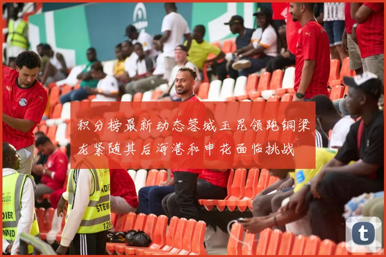 积分榜最新动态蓉城玉昆领跑铜梁龙紧随其后海港和申花面临挑战
